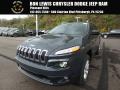 2018 Cherokee Latitude Plus 4x4 #1
