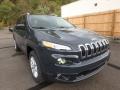 2018 Cherokee Latitude Plus 4x4 #7