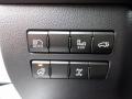 Controls of 2018 Lexus NX 300 F Sport AWD #12 Controls of 2018 Lexus NX 300 F Sport AWD #12