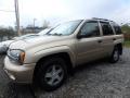 2006 TrailBlazer LS 4x4 #1 2006 TrailBlazer LS 4x4 #1