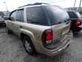2006 TrailBlazer LS 4x4 #2 2006 TrailBlazer LS 4x4 #2
