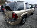 2006 TrailBlazer LS 4x4 #4 2006 TrailBlazer LS 4x4 #4