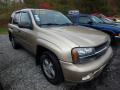 2006 TrailBlazer LS 4x4 #5 2006 TrailBlazer LS 4x4 #5