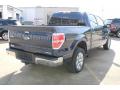 2013 F150 XLT SuperCrew #9
