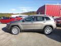  2018 Jeep Cherokee Light Brownstone Pearl #2