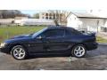 1998 Mustang SVT Cobra Convertible #19 1998 Mustang SVT Cobra Convertible #19