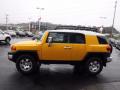 2007 FJ Cruiser 4WD #6 2007 FJ Cruiser 4WD #6