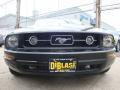 2008 Mustang V6 Deluxe Coupe #2