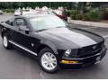 2009 Mustang V6 Coupe #3