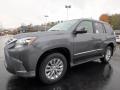  2018 Lexus GX Nebula Gray Pearl #4