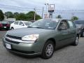 2005 Malibu Sedan #1
