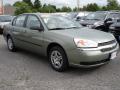 2005 Malibu Sedan #2