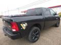 2018 1500 Express Crew Cab 4x4 #5