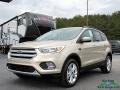 2018 Escape SE 4WD #1