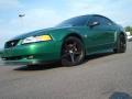 1999 Mustang GT Coupe #2