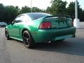 1999 Mustang GT Coupe #5