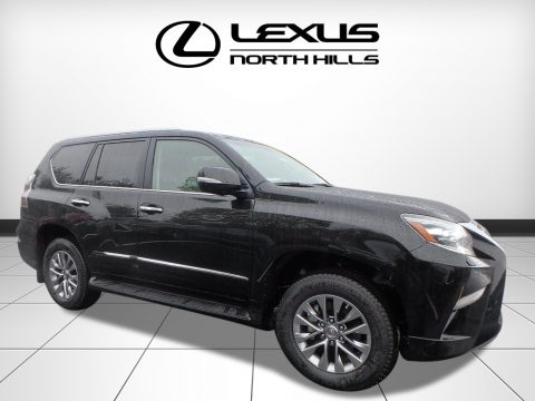 Black Onyx Lexus GX 460 Luxury.  Click to enlarge.