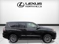 2018 GX 460 Luxury #2