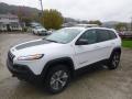 2018 Cherokee Trailhawk 4x4 #1