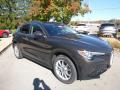 Front 3/4 View of 2018 Alfa Romeo Stelvio Ti AWD #10