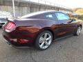 2018 Mustang GT Premium Fastback #2