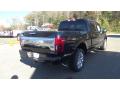 2018 F150 Platinum SuperCrew 4x4 #7