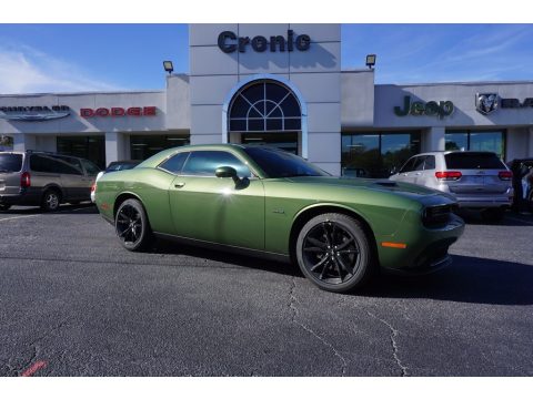 F8 Green Dodge Challenger R/T.  Click to enlarge.