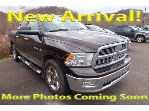 Rugged Brown Pearl Dodge Ram 1500 Big Horn Crew Cab 4x4.  Click to enlarge.