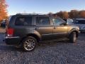 2008 Aspen Limited 4WD #3