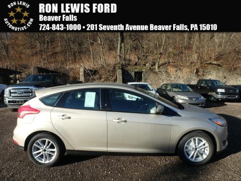 White Gold Ford Focus SE Hatch.  Click to enlarge.