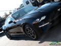 2018 Mustang EcoBoost Fastback #25