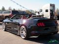2017 Mustang Shelby Super Snake Convertible #4
