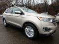 Front 3/4 View of 2018 Ford Edge SEL AWD #9