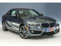 2018 2 Series 230i Coupe #11 2018 2 Series 230i Coupe #11