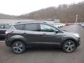  2018 Ford Escape Magnetic #1