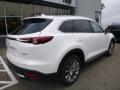 2018 CX-9 Signature AWD #2