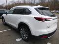  2018 Mazda CX-9 Snowflake White Pearl Mica #6