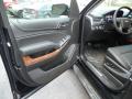 Door Panel of 2018 Chevrolet Tahoe Premier 4WD #8