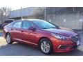 2016 Sonata SE #3