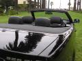 2005 3 Series 325i Convertible #29 2005 3 Series 325i Convertible #29