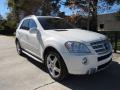 2010 ML 550 4Matic #2