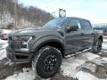 Front 3/4 View of 2018 Ford F150 SVT Raptor SuperCrew 4x4 #7