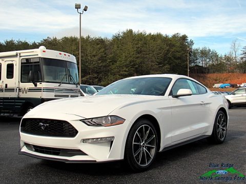 Oxford White Ford Mustang EcoBoost Fastback.  Click to enlarge.