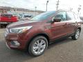 Front 3/4 View of 2018 Ford Escape SE 4WD #8