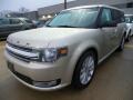 Front 3/4 View of 2018 Ford Flex SEL AWD #1