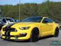 2017 Mustang Shelby GT350 #1