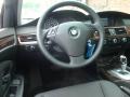 2009 5 Series 528xi Sedan #11