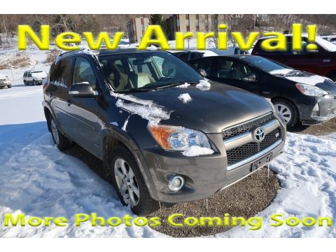 Classic Silver Metallic Toyota RAV4 Limited V6 4WD. Click to enlarge. Classic Silver Metallic Toyota RAV4 Limited V6 4WD. Click to enlarge.
