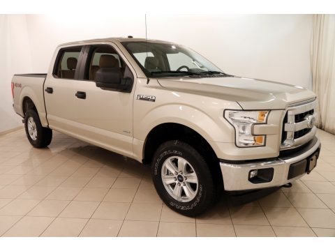White Gold Ford F150 XLT SuperCrew 4x4.  Click to enlarge.