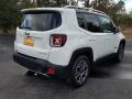 2017 Renegade Limited #5